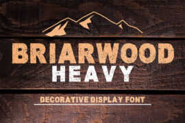 Briarwood Heavy Font Family