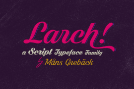 Bright Larch PERSONAL USE ONLY Font