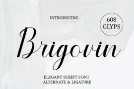 Brigovin Font