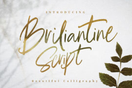 Briliantine Script Demo Font