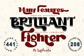 Brilliant Fighter – Personal us Font