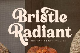 Bristle Radiant DEMO VERSION Font Family