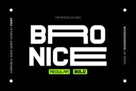 Bronice Font Family