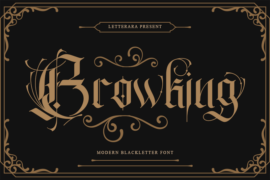 Browking – Personal use Font