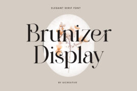 BrunizerDisplay Font