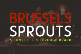 Brussels Sprouts Font Family