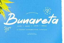 Bunareta Personal Use Font