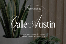 Calle Austin Demo Font