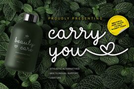 Carry You Font