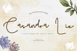 Casandra Lie Personal Use Font