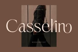 Casselin DEMO VERSION Font Family