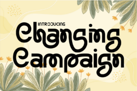 Changing Campaign Demo Font