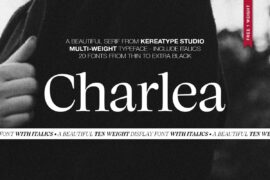Charlea Demo Font Family