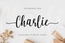 Charlie-personal use Font