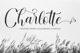 Charlotte Script Font