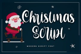 Christmas Script-Personal use Font