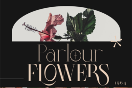 Colibre Bristole Pro Font