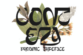 Conteza Font