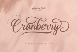 Cranberry Font