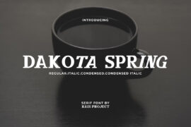 Dakota Demo Font Family