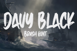 Davy Black Font