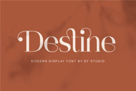 Destine_Personal Use Font