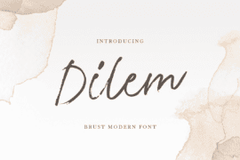Dilem Font
