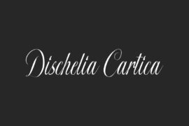Dischelia C Demo Font