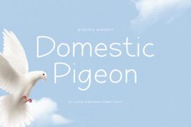 Domestic Pigeon Font