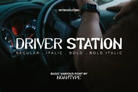 Driver Demo Font Family