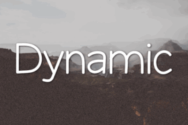 Dynamic Font