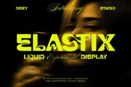 Elastix Font