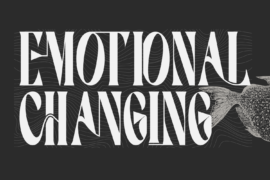 EMOTIONAL CHANGING DEMO Font