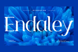 Endaley Personal Use Font