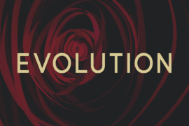 Evolution Font
