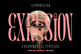 EXPRESSION DEMO Font