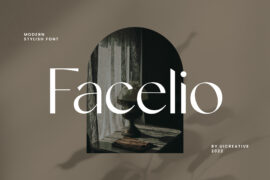 Facelio Font