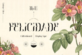 Felicidade Font