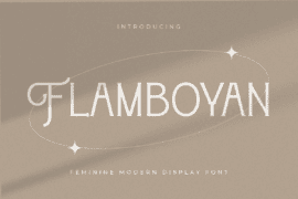 Flamboyan Font