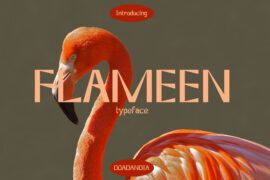Flameen Font