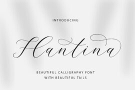 Flantina Font
