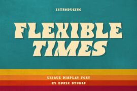 Flexible Times Demo Font Family