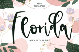 Florida Personal Use Only Font