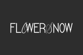 Flower Snow Demo Font