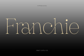 Franchie Demo Font