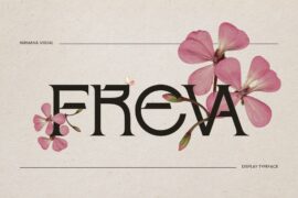 Freva – Demo Version Font