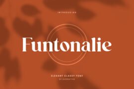 Funtonalie Font