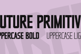 Future Primitive Font Family