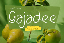 Gajadee Personal Use Font