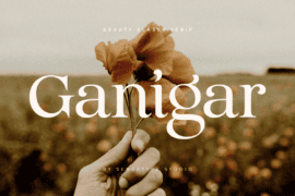 Ganigar Font